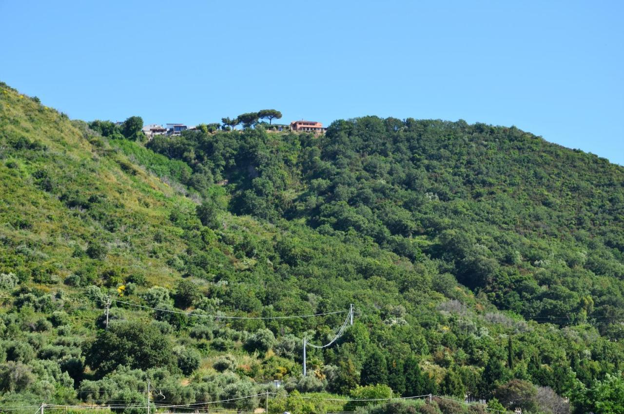 Penthouse Mare E Monti Lejlighed Tropea Eksteriør billede